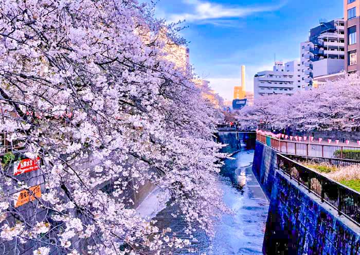 目黑河；；；；；