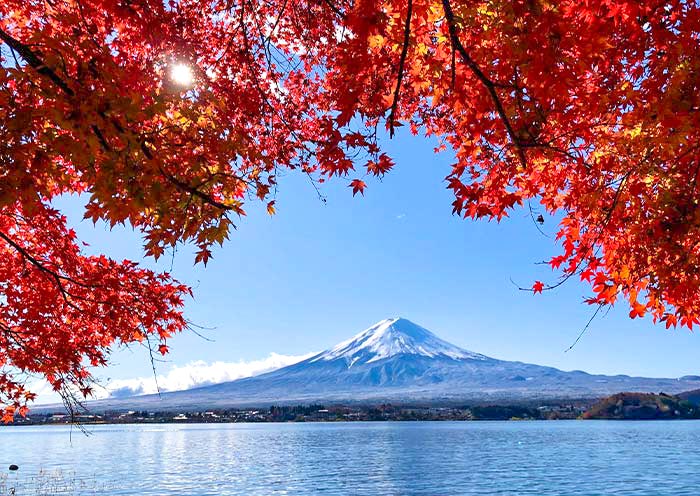 日本全景 | 日本大阪+京都+奈良+广岛+东京+富士山9天8晚深度探索之旅