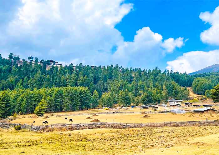 富比卡山穀 富比卡山穀