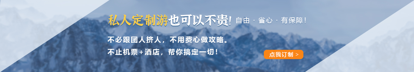 定制游 定制游