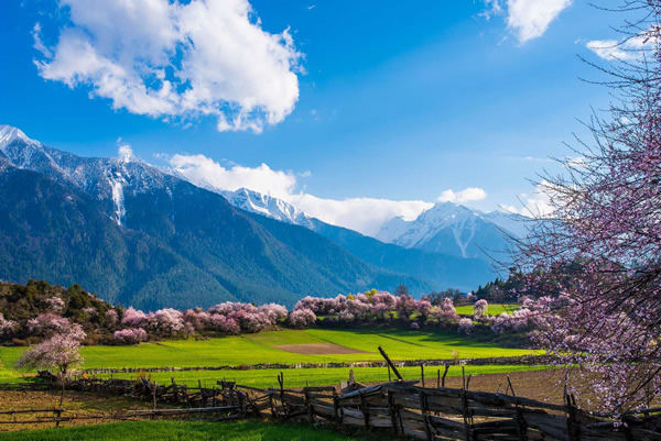 进藏游客增多 航班增开多条航线