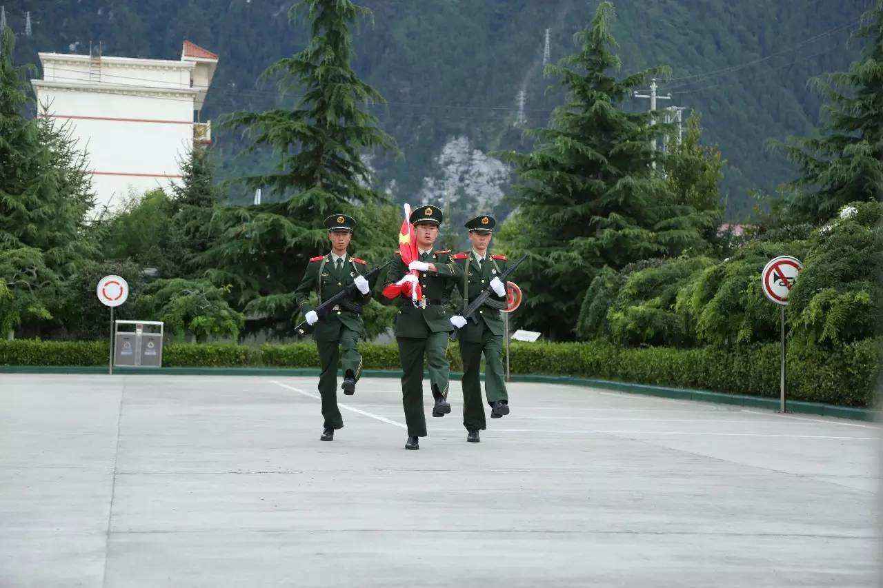 西藏森林公安：在崇山峻岭中铸造忠诚与责任