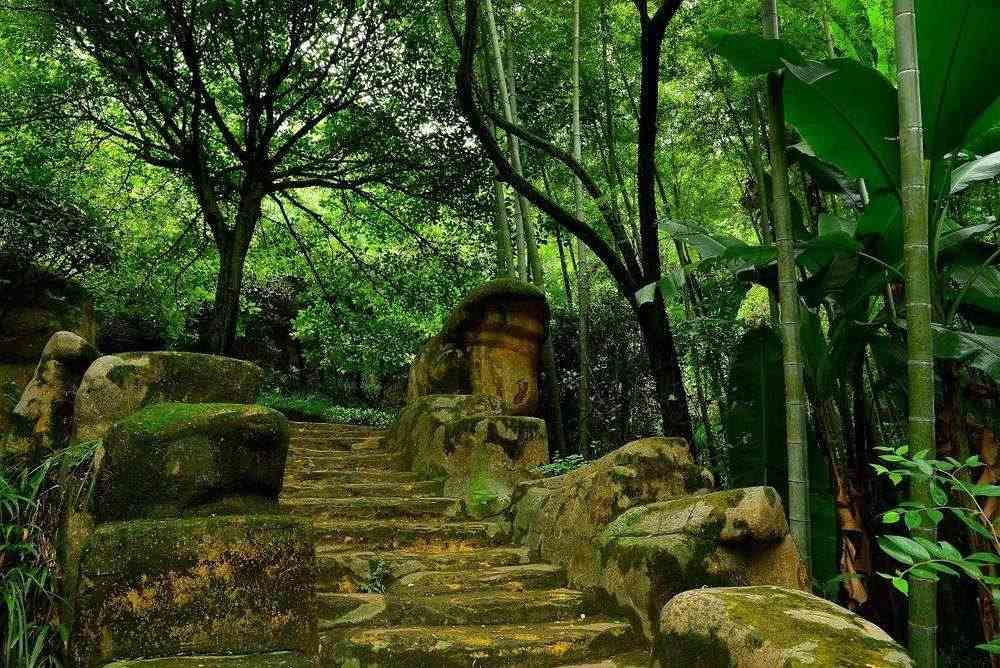 南充-拉萨进藏航班