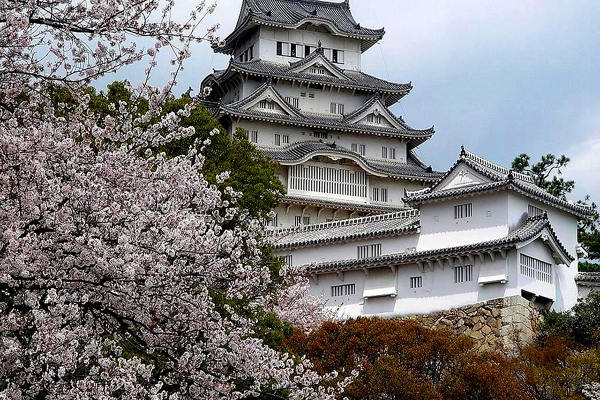 日本到西藏旅游