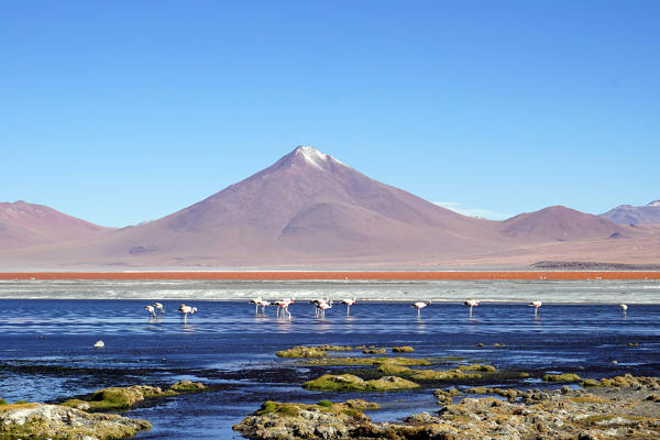 玻利维亚到西藏旅游