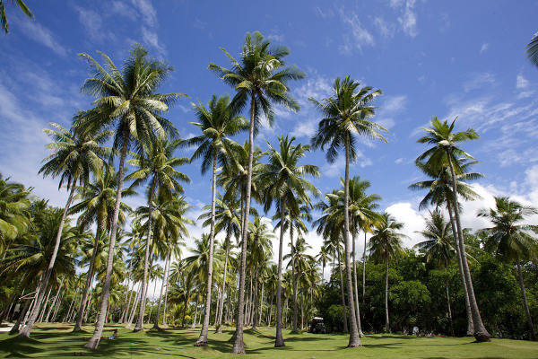菲律宾到西藏旅游