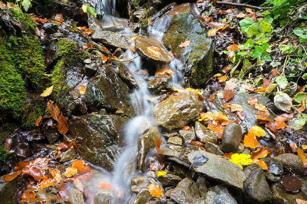 乌克兰到西藏旅游