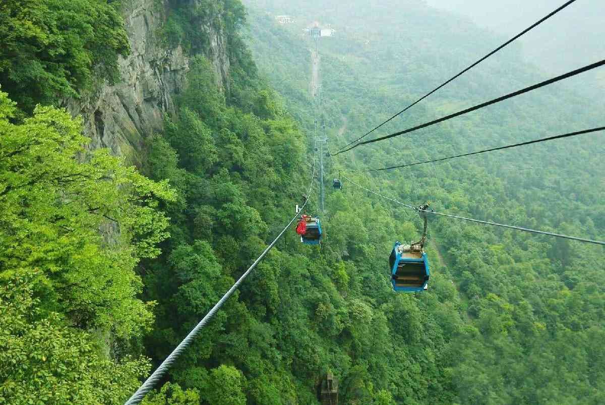 林芝-重庆出藏航班