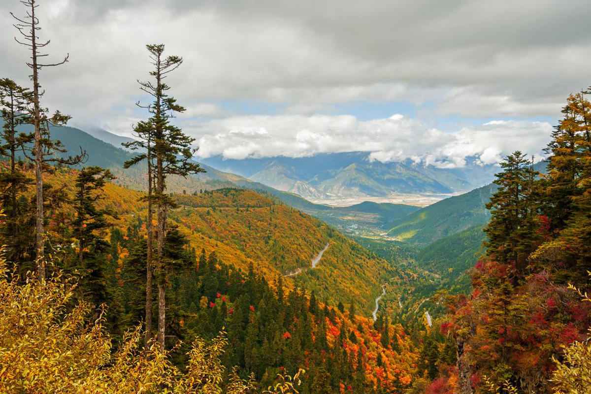 林芝7月份天气概况