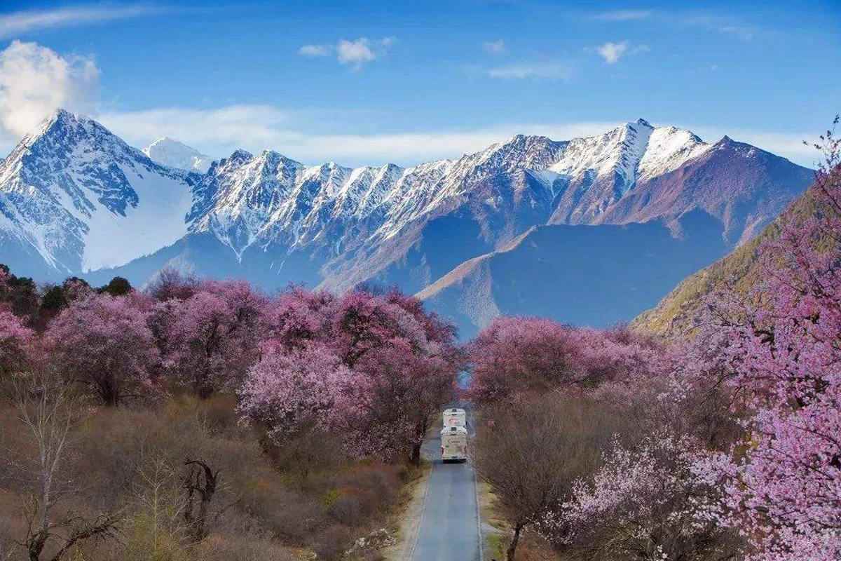 林芝4月份天气概况