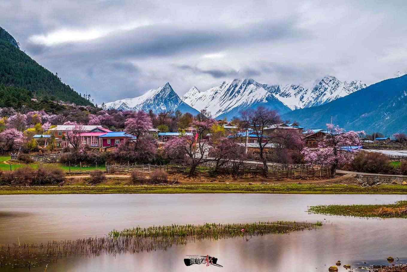 林芝10月份天气概况