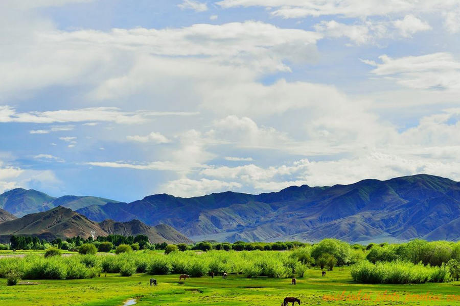 日喀则8月份天气概括