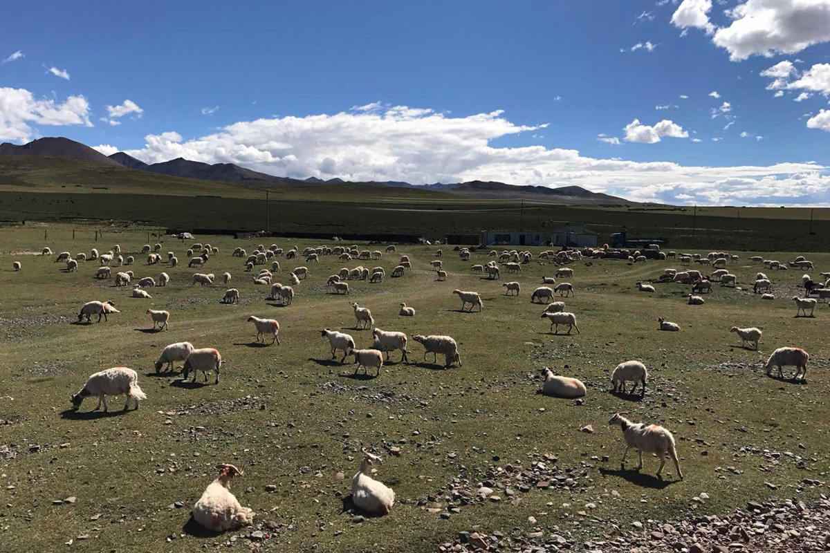 日喀则12月份天气概况