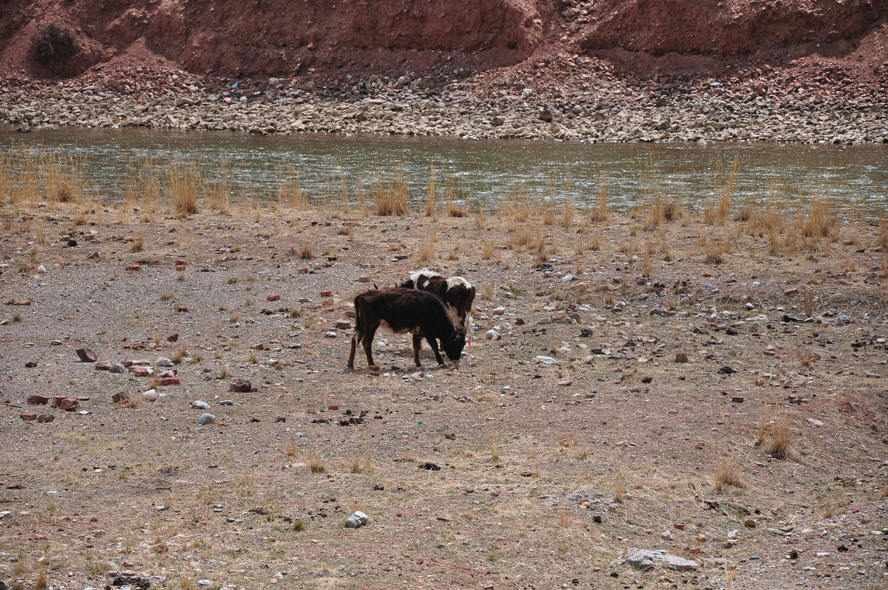 昌都9月份天气概况