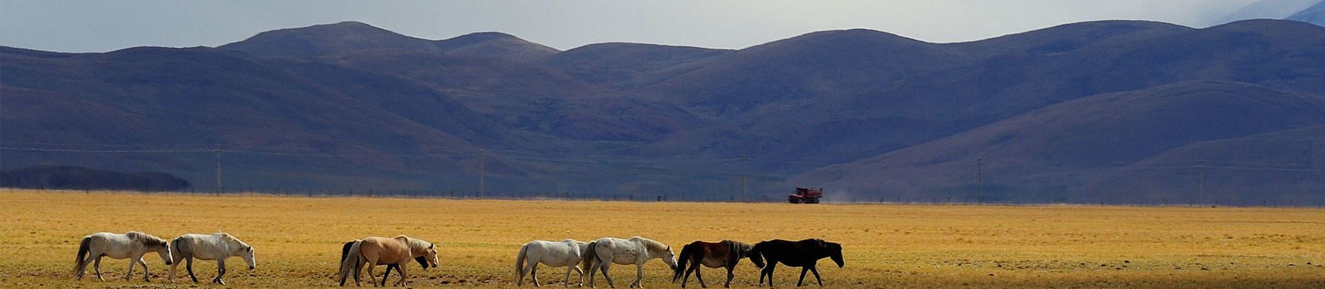 Tibet Tibet