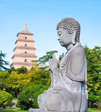 亚洲大连文园国际旅行社有限公司照片