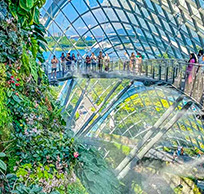 亞洲奧德賽旅行照片