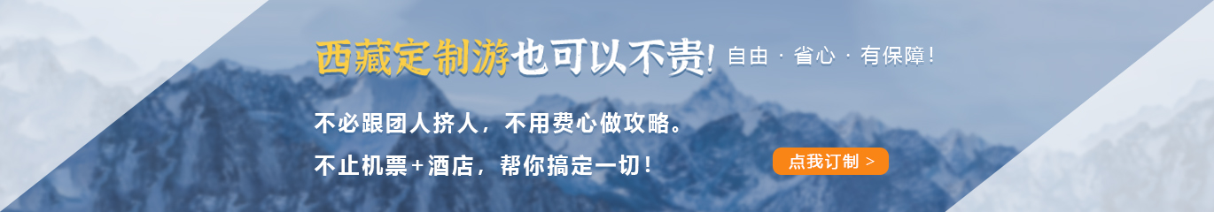 定制游