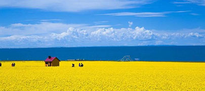 青海包车-5座福特猛禽F-150皮卡-mansion88旅行网