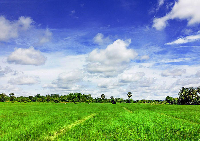 Ubicado cerca de Vientiane, la capital de Laos, el pueblo Bor es uno de los muchos pueblos de sal en el distrito de Thoulakhom.