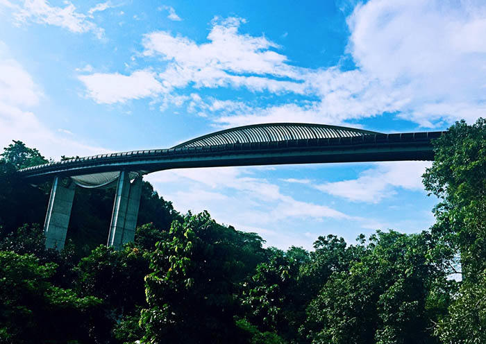 Puente peatonal Henderson Waves