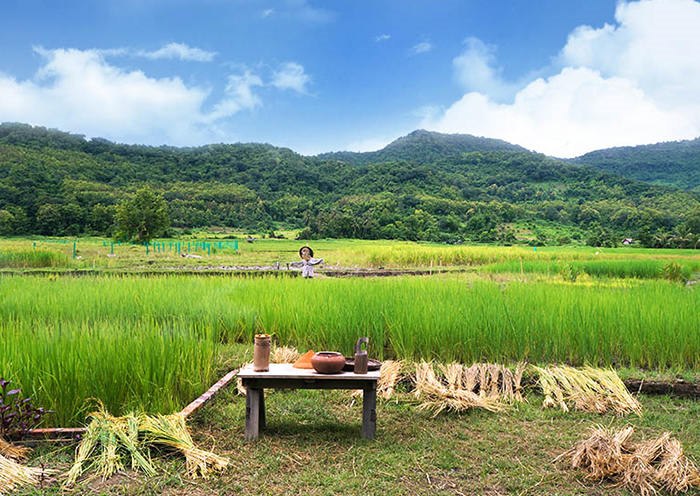 El pueblo Tanteng es el pueblo étnico de Kok Pun Thai donde se puede observar el proceso completo de los lugareños preparando el café y el té paso a paso.