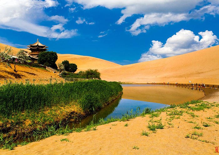 Day 2 Crescent Lake – a beautiful oasis in the desert surrounded by sand dunes all around. It is amazing to see this little lake sitting in the middle of a vast sea of sand.
Day 2 Crescent Lake – a beautiful oasis in the desert surrounded by sand dunes all around. It is amazing to see this little lake sitting in the middle of a vast sea of sand.