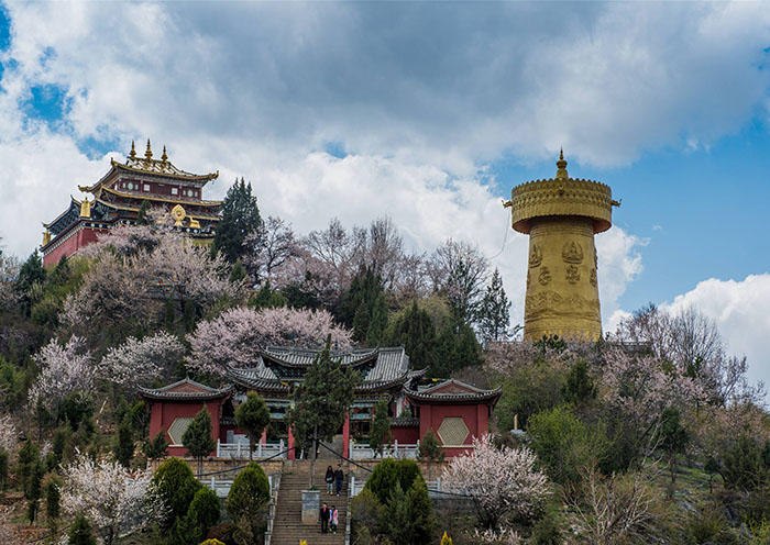 Day 8 The 1,300-year old Dukezong Old Town, where we can climb to the top of Guishan (Tortoise) Hill for a panoramic view over the old town and Shangri-La County. Although the town was mostly destroyed by a massive fire in 2014, the old town has been painstakingly restored to its former glory and it is well worth a visit. Day 8 The 1,300-year old Dukezong Old Town, where we can climb to the top of Guishan (Tortoise) Hill for a panoramic view over the old town and Shangri-La County. Although the town was mostly destroyed by a massive fire in 2014, the old town has been painstakingly restored to its former glory and it is well worth a visit.