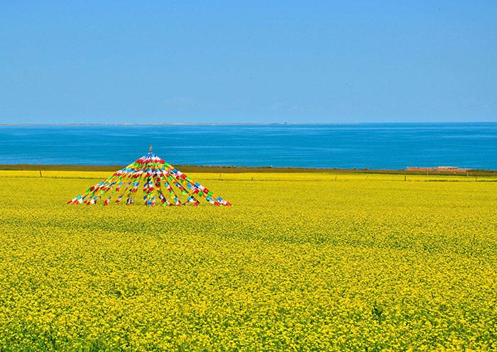Day10- Qinghai Lake, China
 Day10- Qinghai Lake, China
