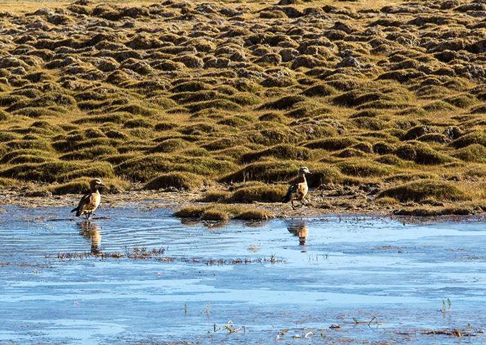 Day 13 – Drive from Saga to Shigatse
 Day 13 – Drive from Saga to Shigatse