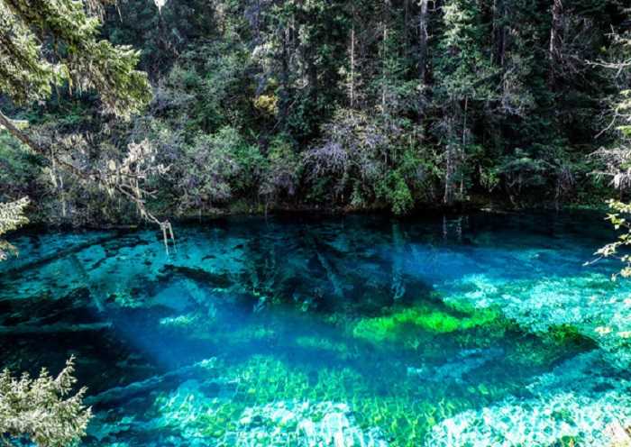 Con 108 lagos coloridos de meseta, el valle de Jiuzhaigou tiene una reputación de mundo de hadas.