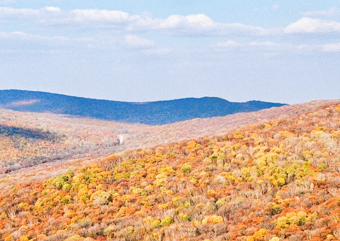 金龍山國家森林公園絕美秋景 金龍山國家森林公園絕美秋景