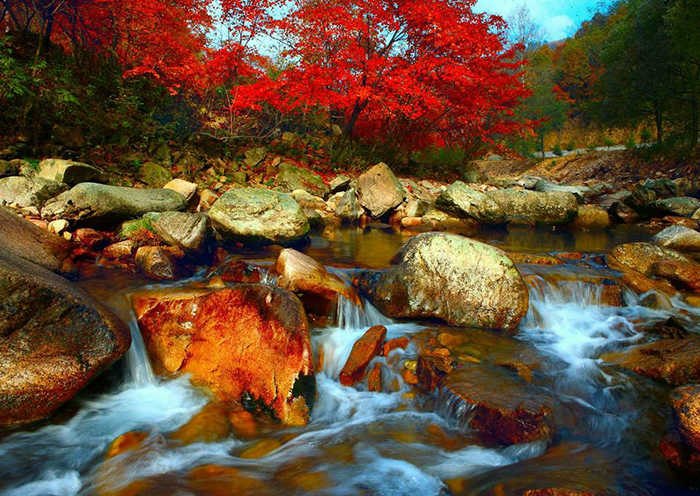 Day 1 - Lulang Forest enjoys the reputation of the “South Yangtze Area in Tibet” due to the colorful plants in the forest. 
 Day 1 - Lulang Forest enjoys the reputation of the “South Yangtze Area in Tibet” due to the colorful plants in the forest.