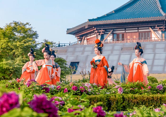 洛阳穿汉服与古建牡丹合影美照 洛阳穿汉服与古建牡丹合影美照