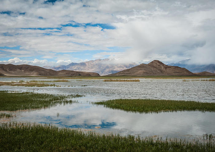 Day12- Pangong Lake is a famous border lake. 
 Day12- Pangong Lake is a famous border lake.