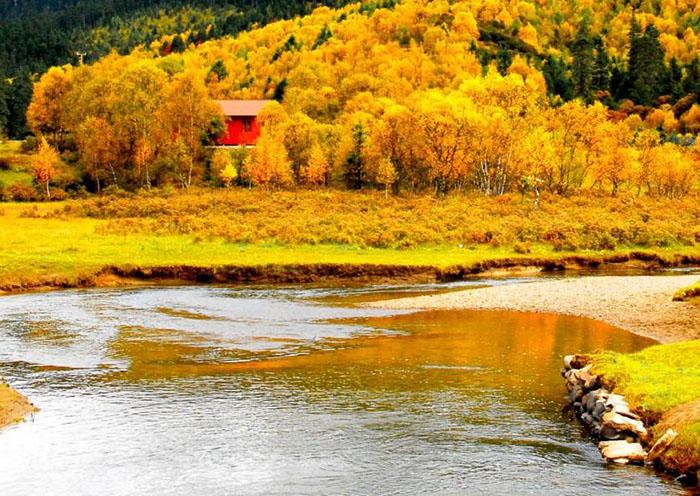 Day 4 After our visit to the monastery, we will drive on to Pudacuo (also known as Potatso) National Park, the first national park in China to meet International Union for the Conservation of Nature standards and also a part of the UNESCO World Heritage Site known as the Three Parallel Rivers of Yunnan Protected Areas.
Day 4 After our visit to the monastery, we will drive on to Pudacuo (also known as Potatso) National Park, the first national park in China to meet International Union for the Conservation of Nature standards and also a part of the UNESCO World Heritage Site known as the Three Parallel Rivers of Yunnan Protected Areas.