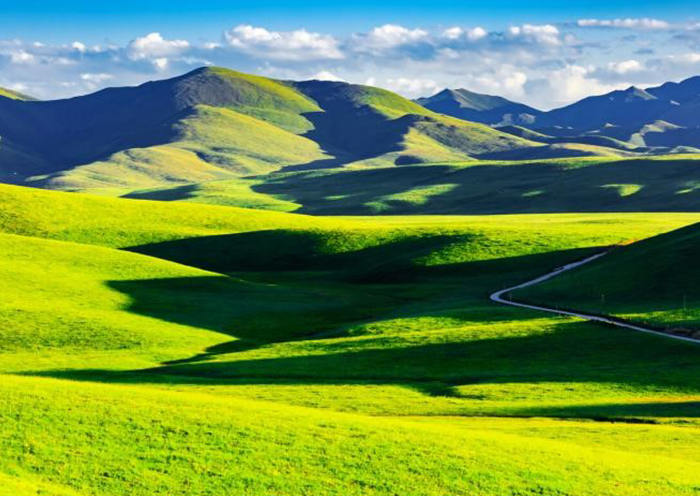 ？？？？？拼蟛菰