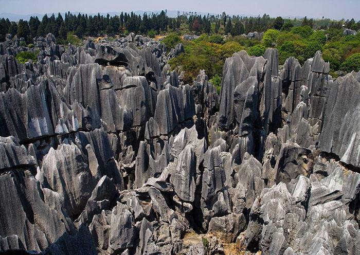 Day 2  The Shilin Stone Forest. These amazing natural karst stone formations were formed over 270 million years ago by the erosion of limestone that left towers of stone rising up from the ground, thus creating the “stone forest”.
 Day 2  The Shilin Stone Forest. These amazing natural karst stone formations were formed over 270 million years ago by the erosion of limestone that left towers of stone rising up from the ground, thus creating the “stone forest”.