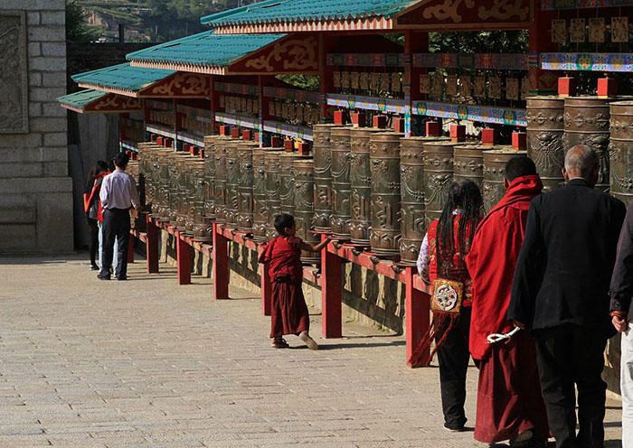Day11- After visiting Taer monastery, you will be brought to the airport and board your plane for Shanghai
 Day11- After visiting Taer monastery, you will be brought to the airport and board your plane for Shanghai