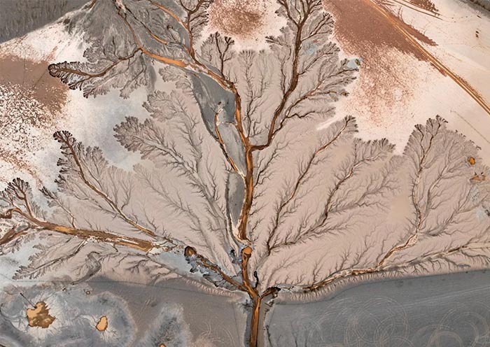 天空之树 天空之树