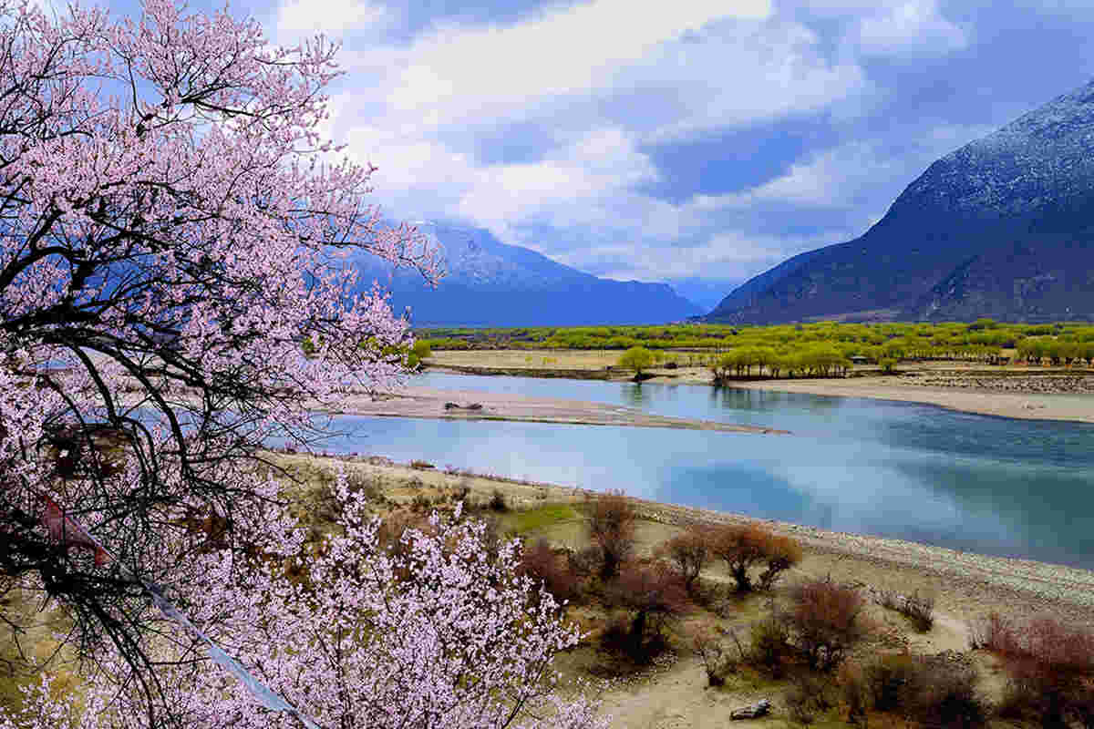 Day 11 The legendary Yaluzangbu River, the mother river of Tibet. 
 Day 11 The legendary Yaluzangbu River, the mother river of Tibet.