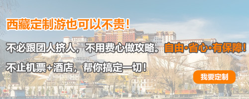 6165cc金沙总站(中国)线路检测中心