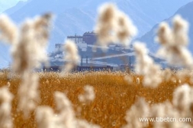 从拉萨拉鲁湿地看西藏环保事业的生长