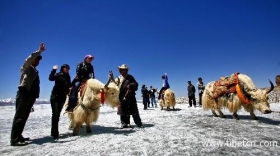 纳木错迎来今年旅游岑岭期