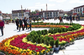 五一西藏旅游游客超5万人次