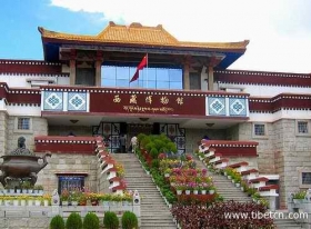 西藏博物馆免费开放 首月迎客3.6万人次