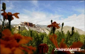 夏日是拉萨最美的季节