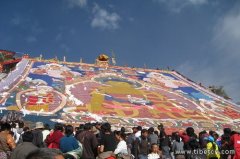 雪顿节早上哲蚌寺举行晒大佛