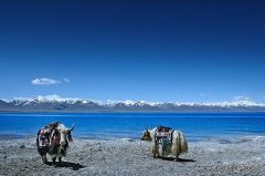 第七届纳木错徒步大会8月13日举行