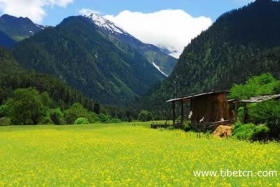 天上西藏 触摸人世瑶池